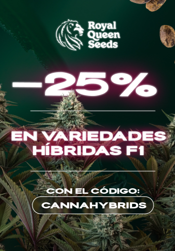 Royal Queen Seeds